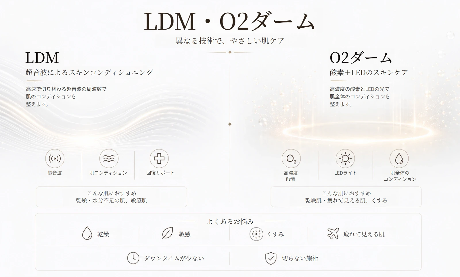 LDMとO2ダームの違いを示す解説イメージ