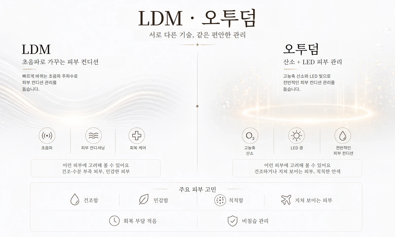 LDM과 오투덤 차이 비교 이미지
